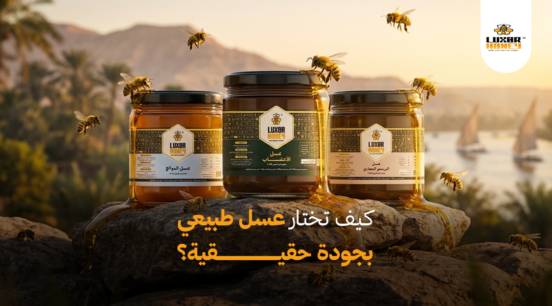 Authentic Natural Honey in Egypt: How to Choose Real Quality?